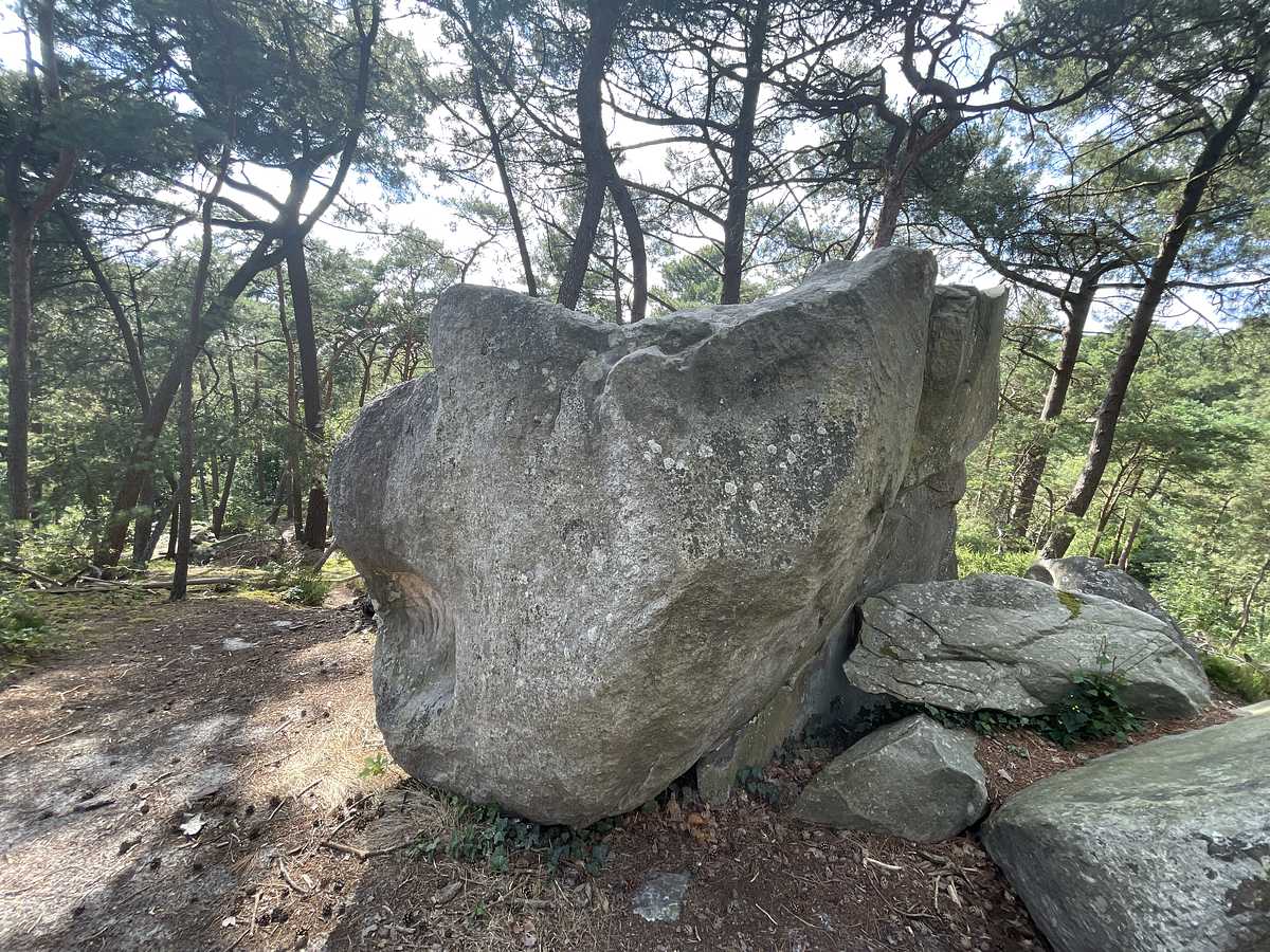 Le Tuno – Mont d'Olivet