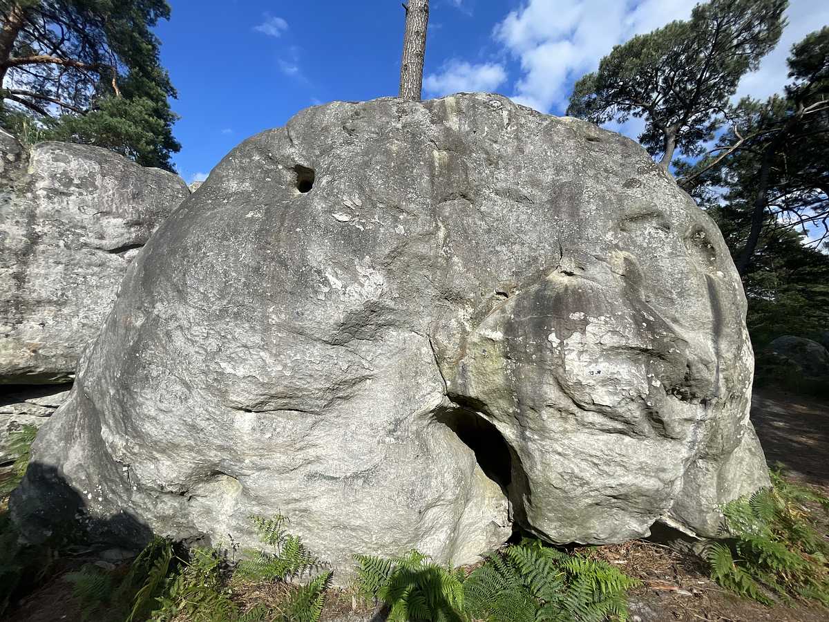 Appel Arrière – Secteur Mont d'Olivet