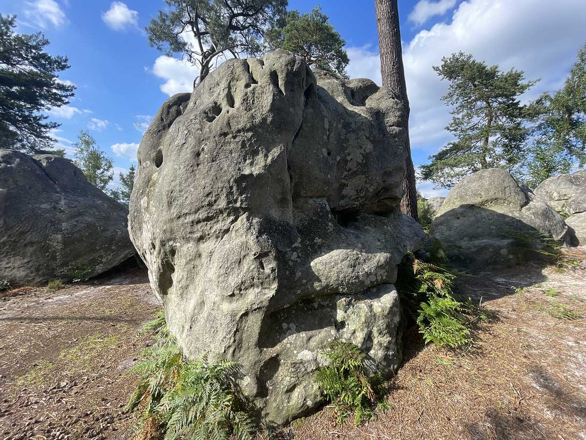 Met la Dérive – Mont d'Olivet
