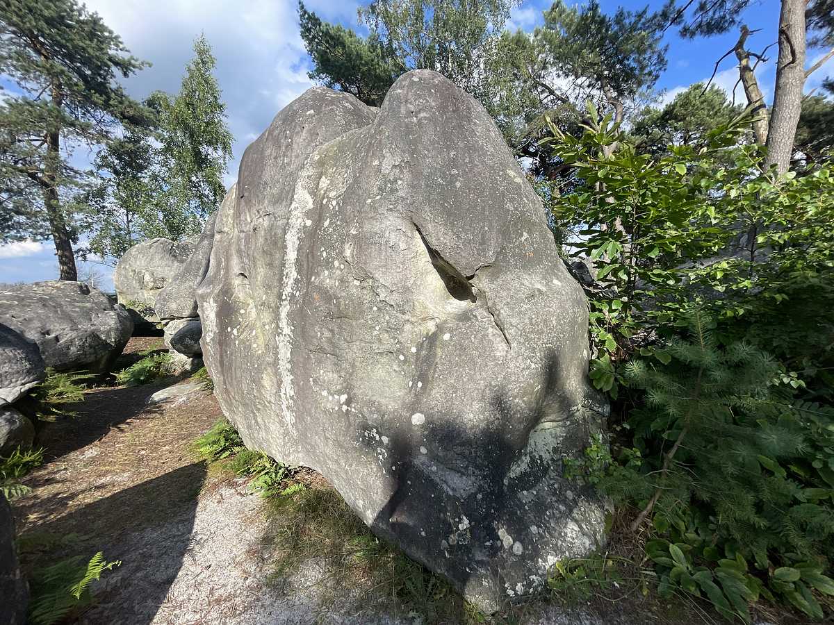 On ne Compte Pas – Secteur Mont d'Olivet