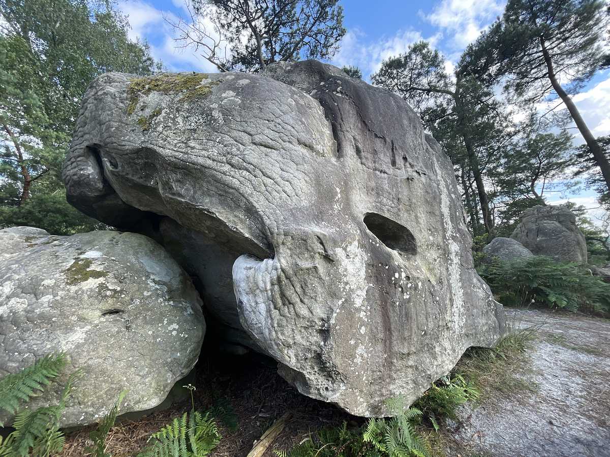 Lève tes Fesses – Mont d'Olivet