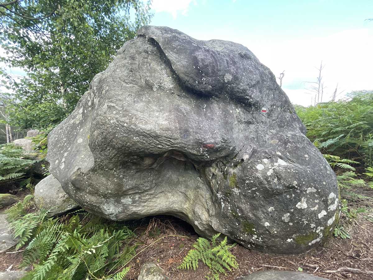 Savonnette – Mont d'Olivet