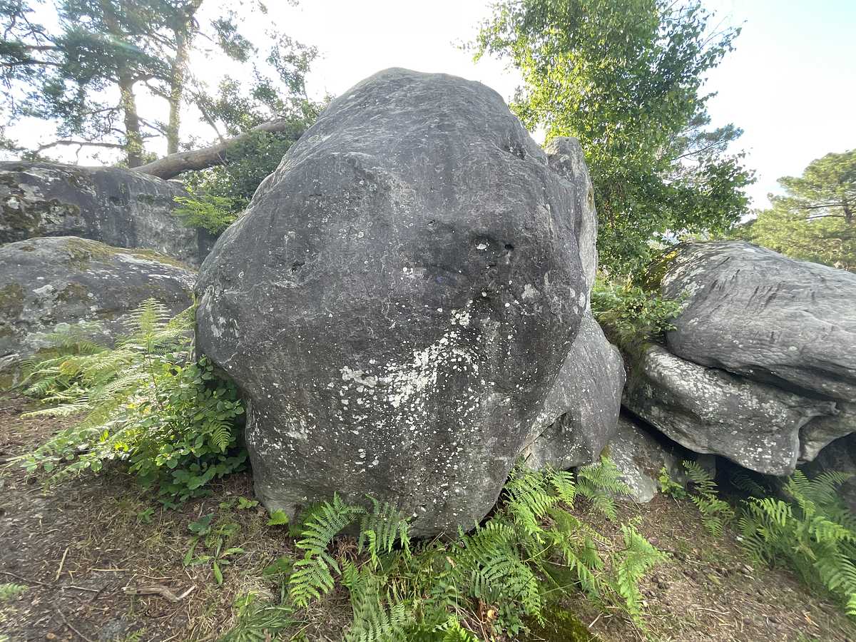 Paul-Édouard – Mont d'Olivet
