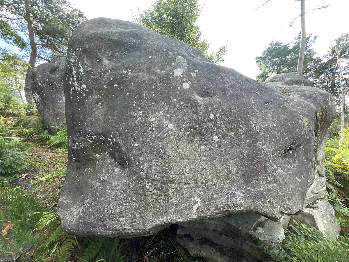 Colle tes Mains – Mont d'Olivet
