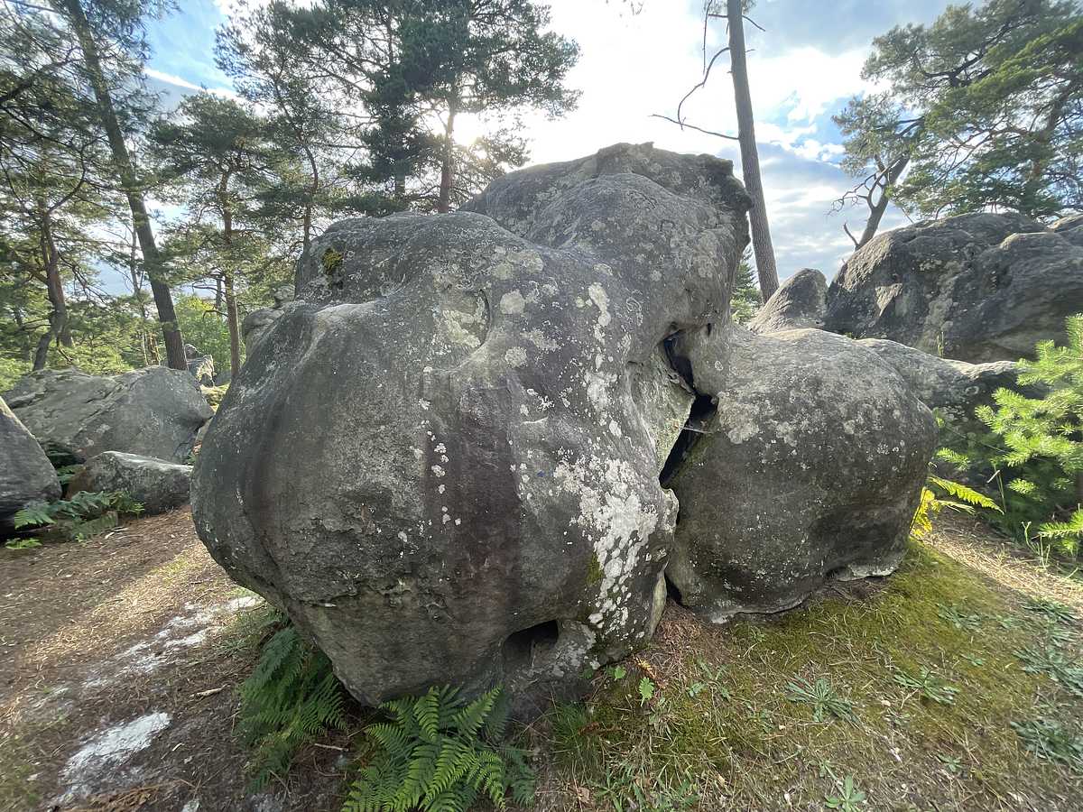 Rentre ton Ventre – Mont d'Olivet