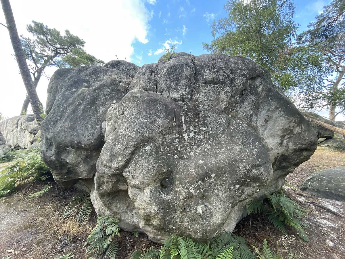 Rentre ton Ventre – Mont d'Olivet