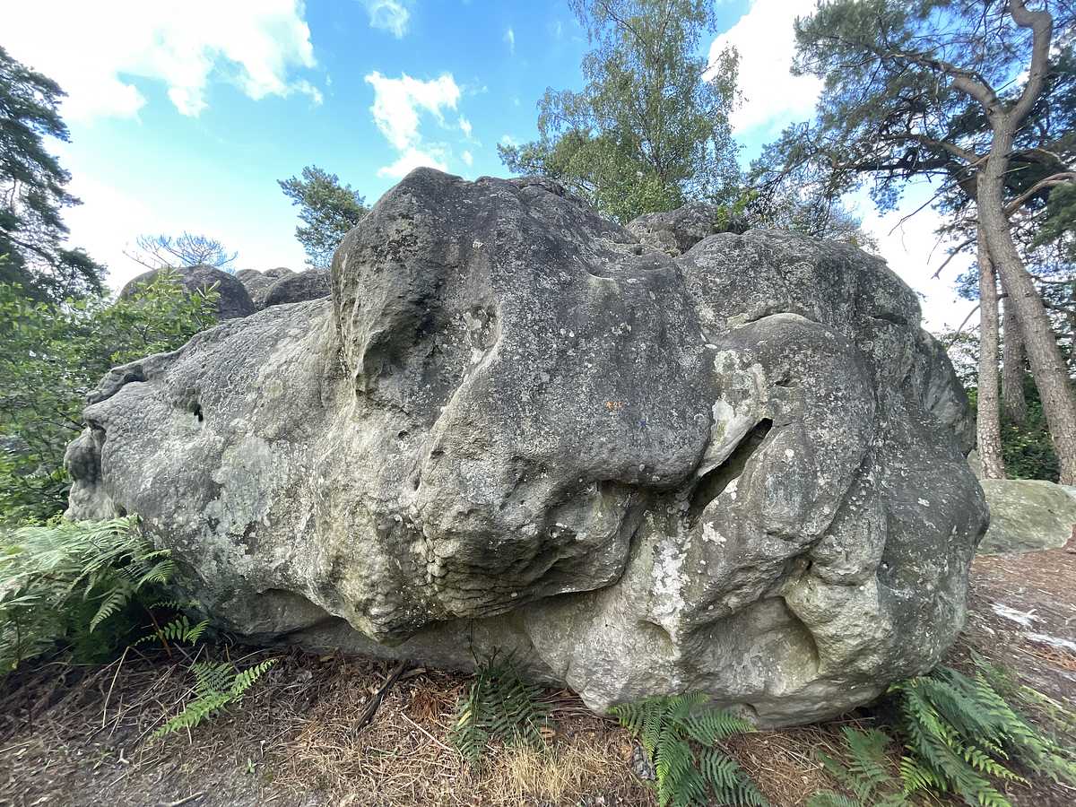 Le Temps des Bacs – Mont d'Olivet