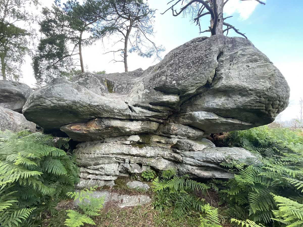 Le Réta des Bourrins – Mont d'Olivet