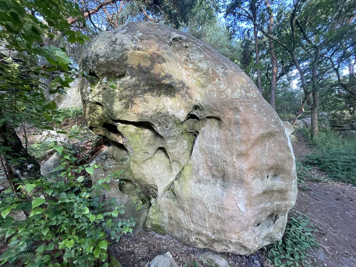 Les Cosmiques – Darvault