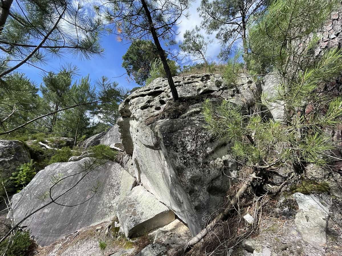 Mycène pur – Restant du Long Rocher