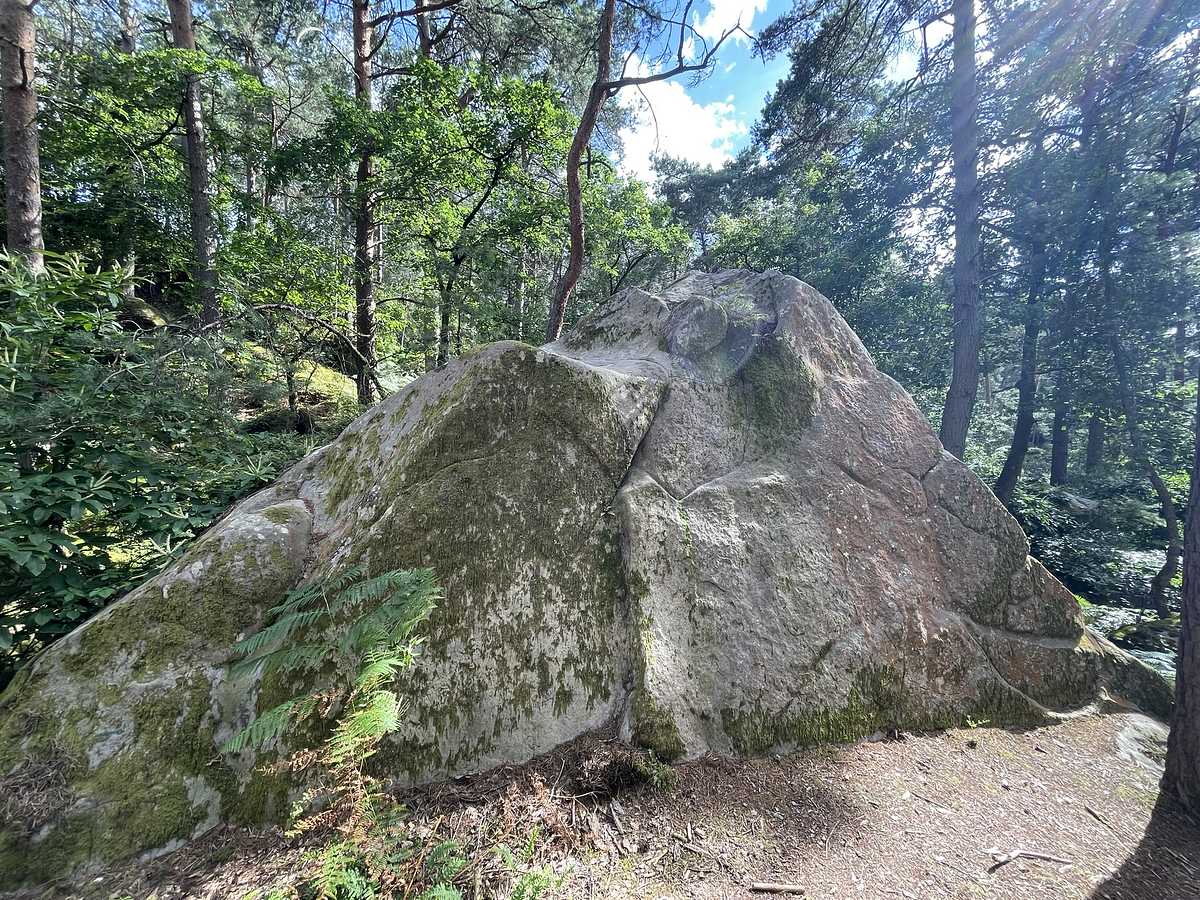 Bolet bai – Restant du Long Rocher