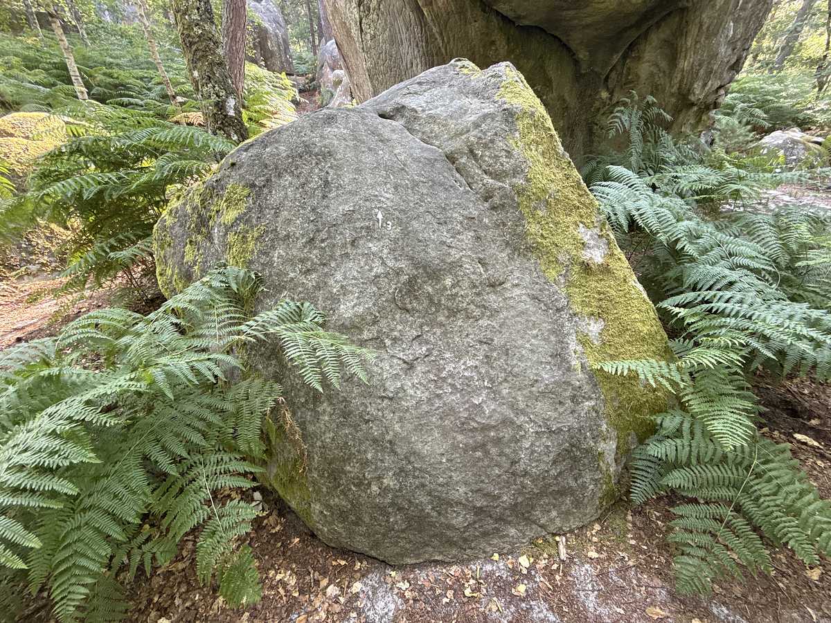 Photo du rocher avec les tracés