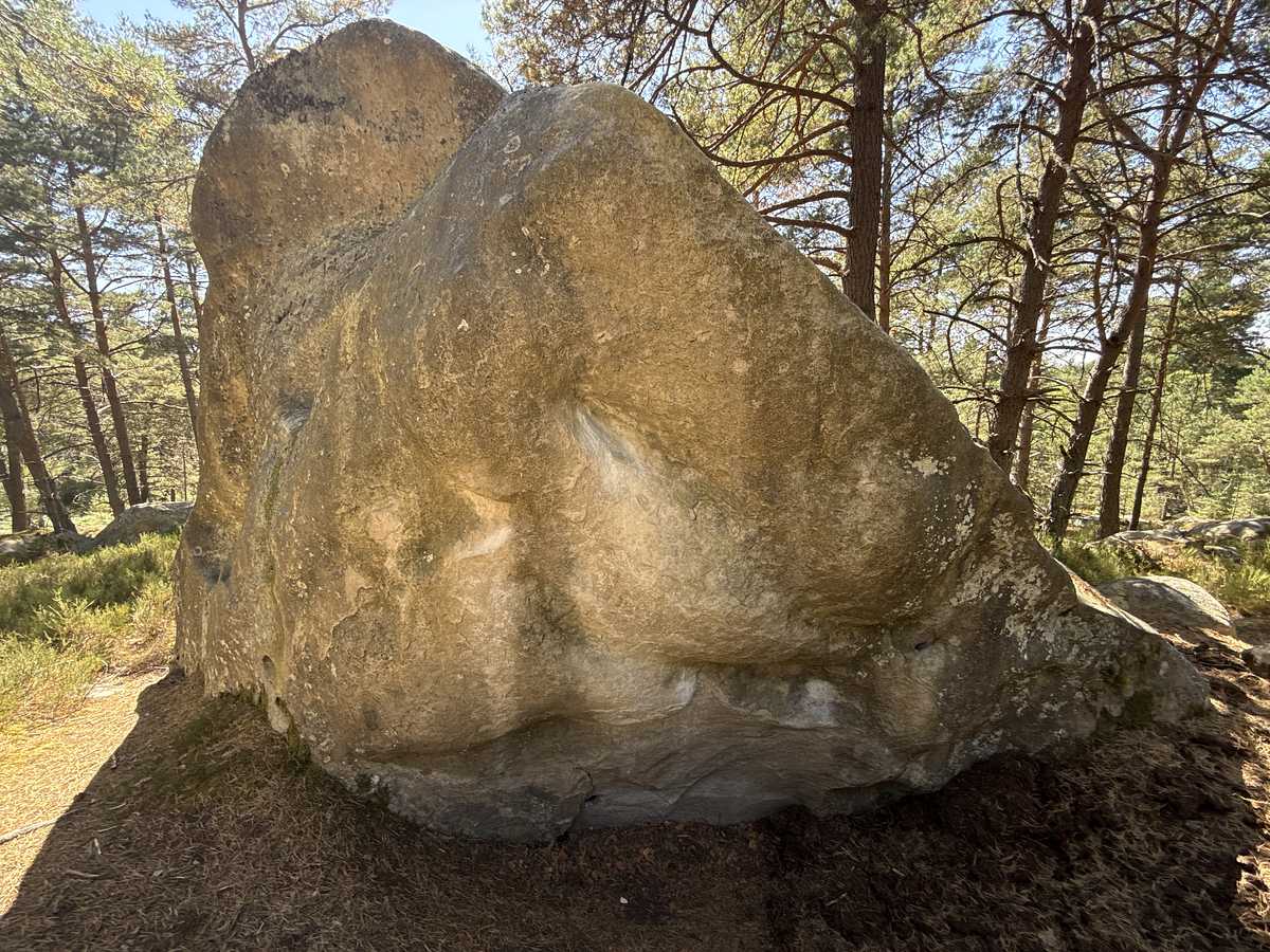 Éva-Tard – Secteur Bois Rond Auberge