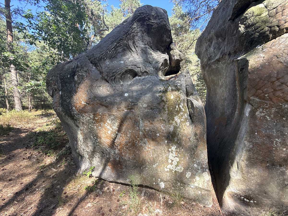 À la Hache – Bois Rond Auberge