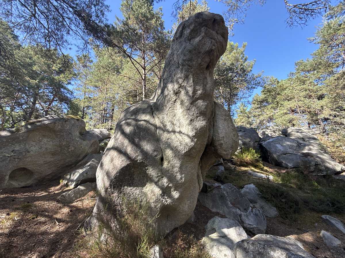 Super Fallos – Bois Rond Auberge