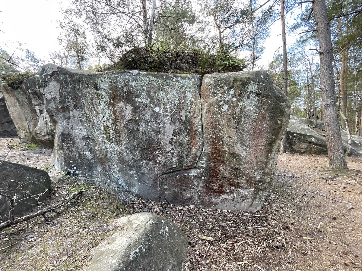 Ah Quel Mojo – Roche aux Sabots
