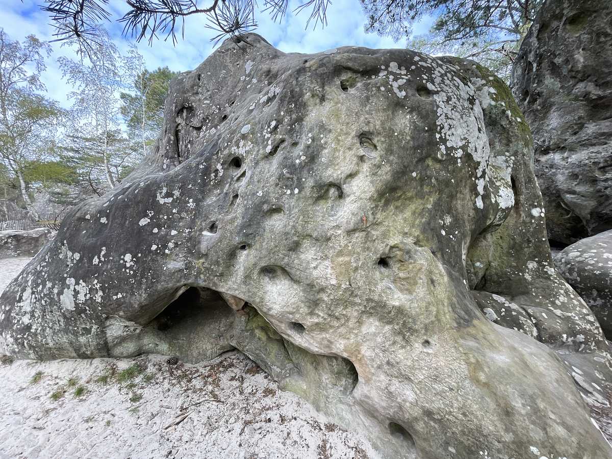 La Traversée du Vieux – Éléphant