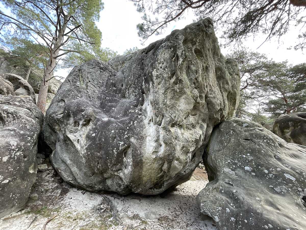 La Chute du Moral – Éléphant