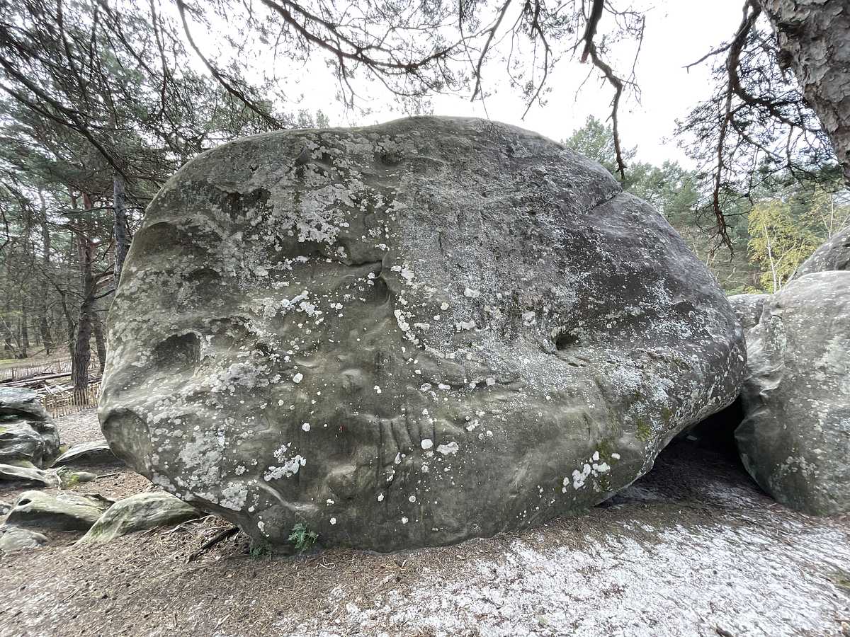 Le Mur Nordic – Éléphant