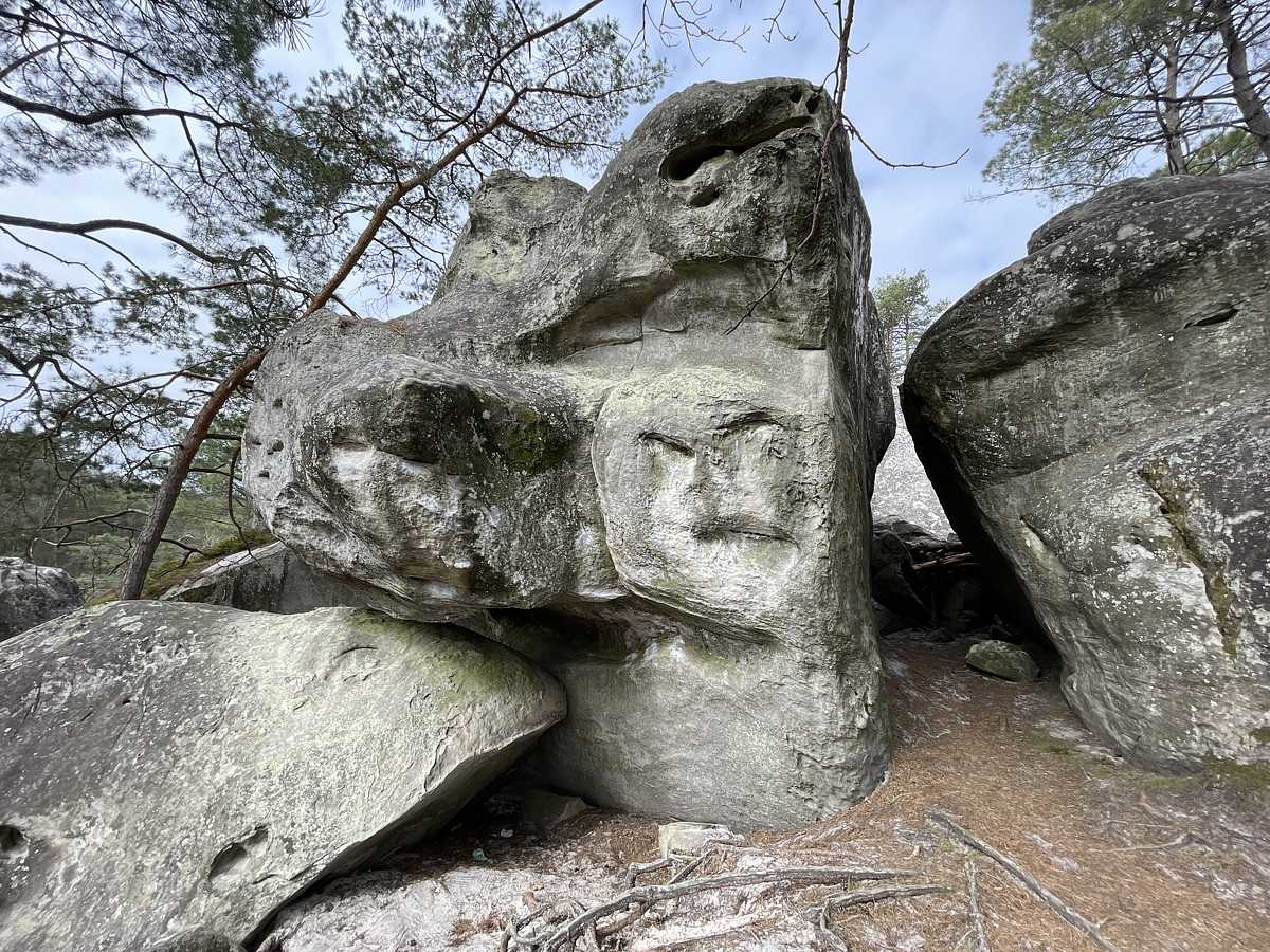 Dans les Bois Éternels – Éléphant