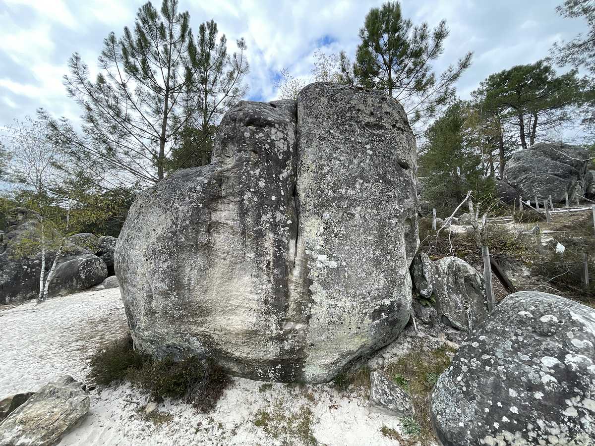 La Fissure des Fesses – Éléphant