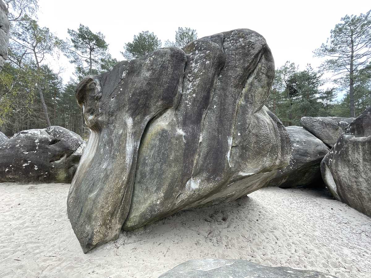 La Fissure du Trio – Éléphant
