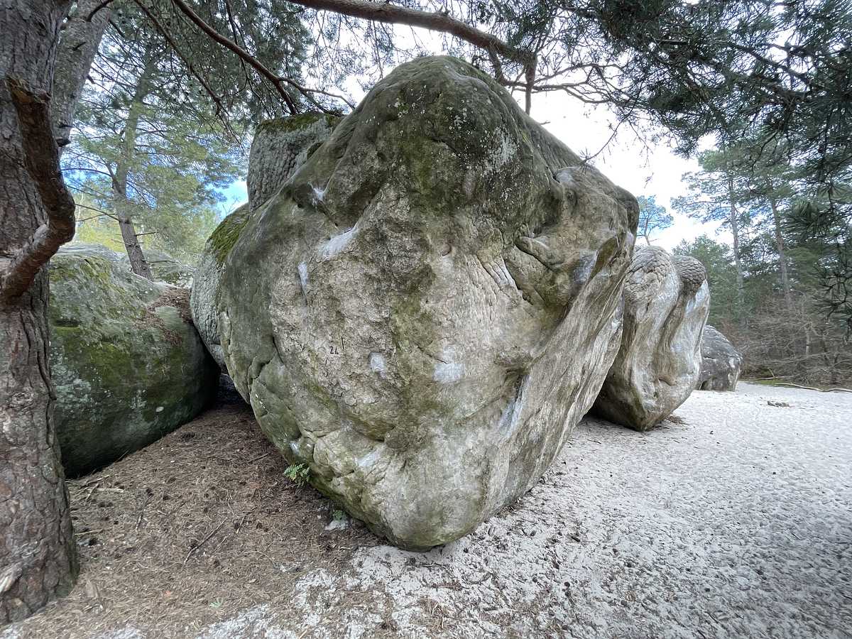 La Brique – Secteur Éléphant