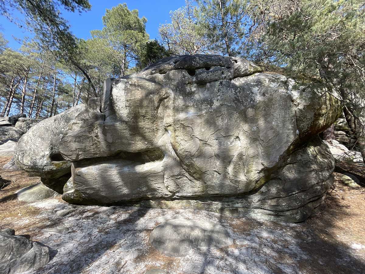 Les Doigts du Reptile – Secteur Éléphant