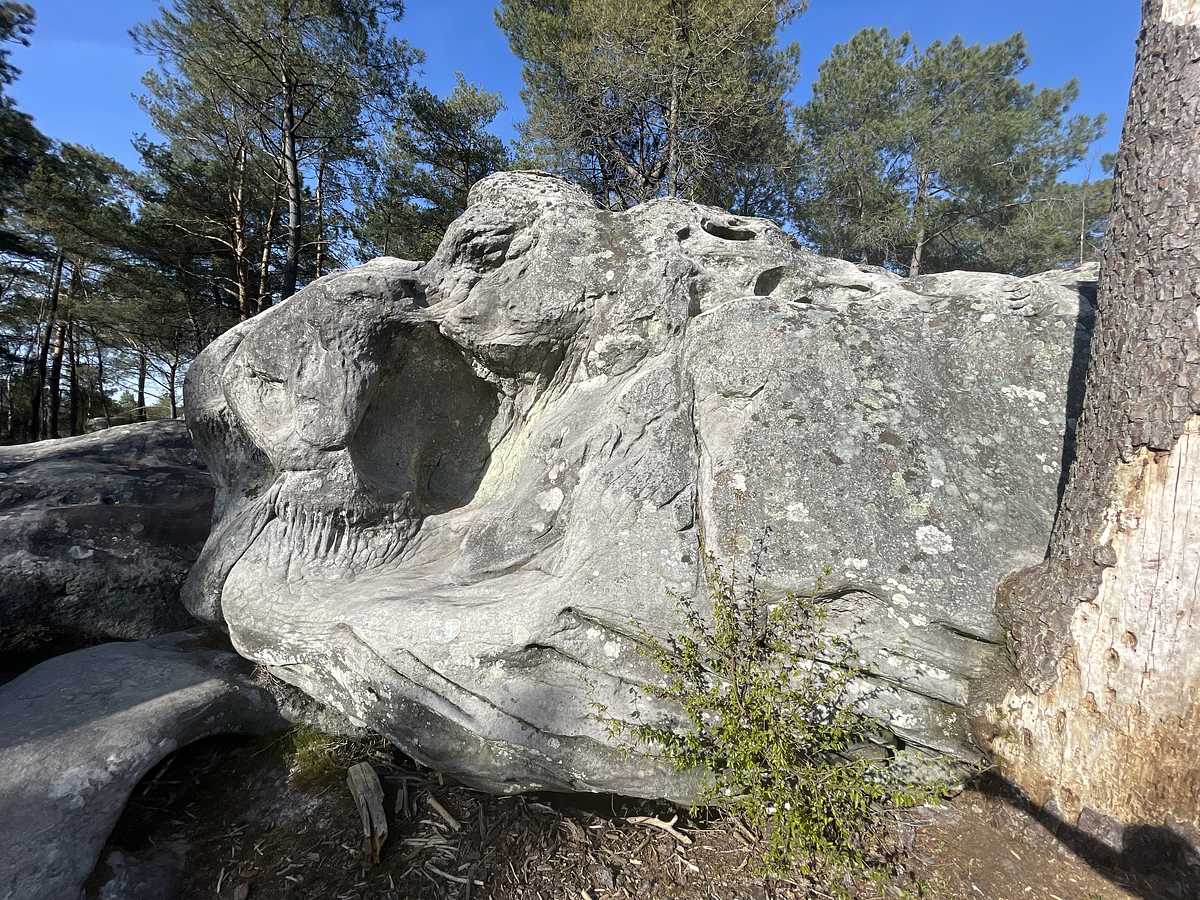 Photo du rocher avec les tracés