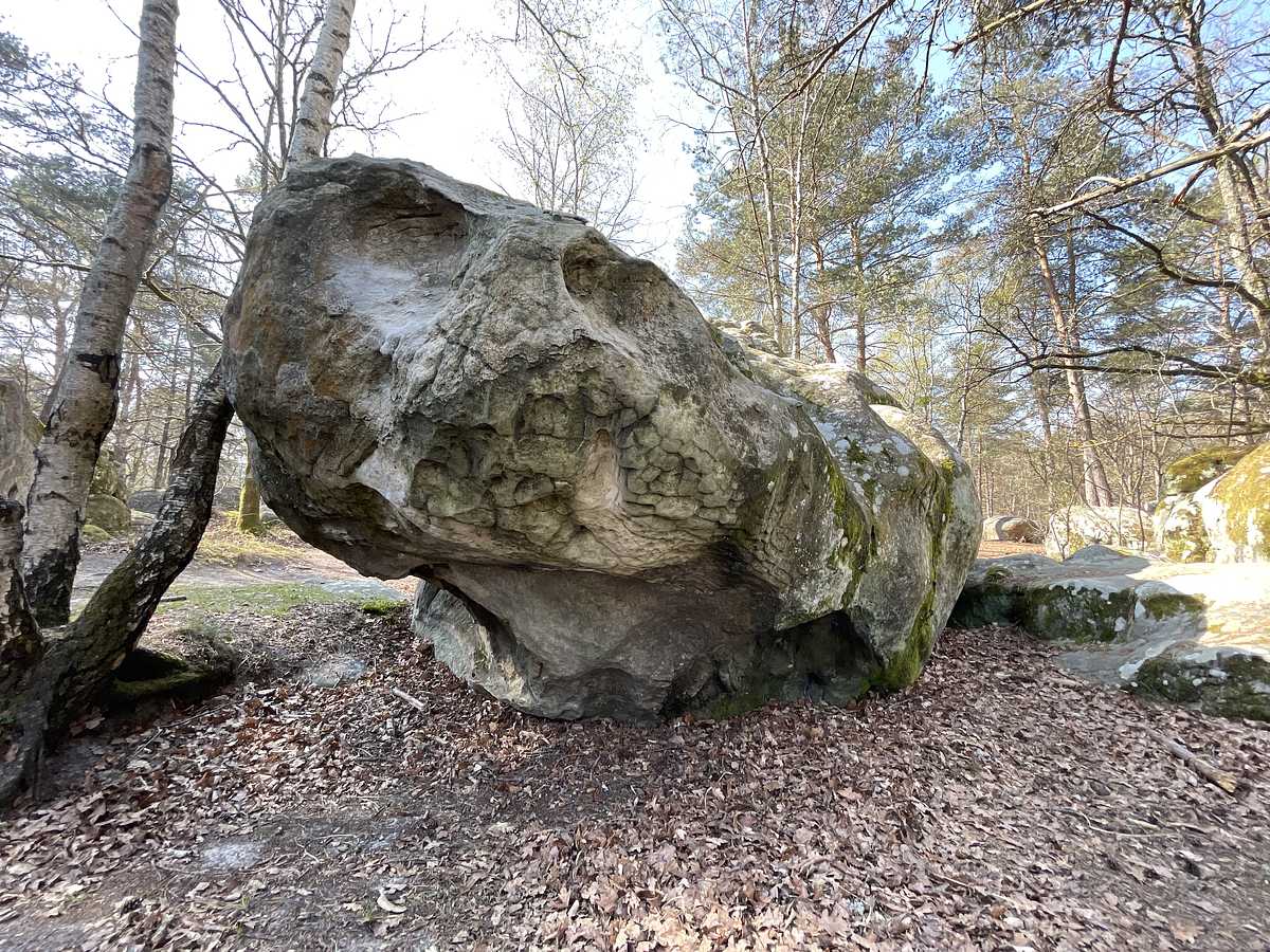 Lèv'Toit – Canche aux Merciers