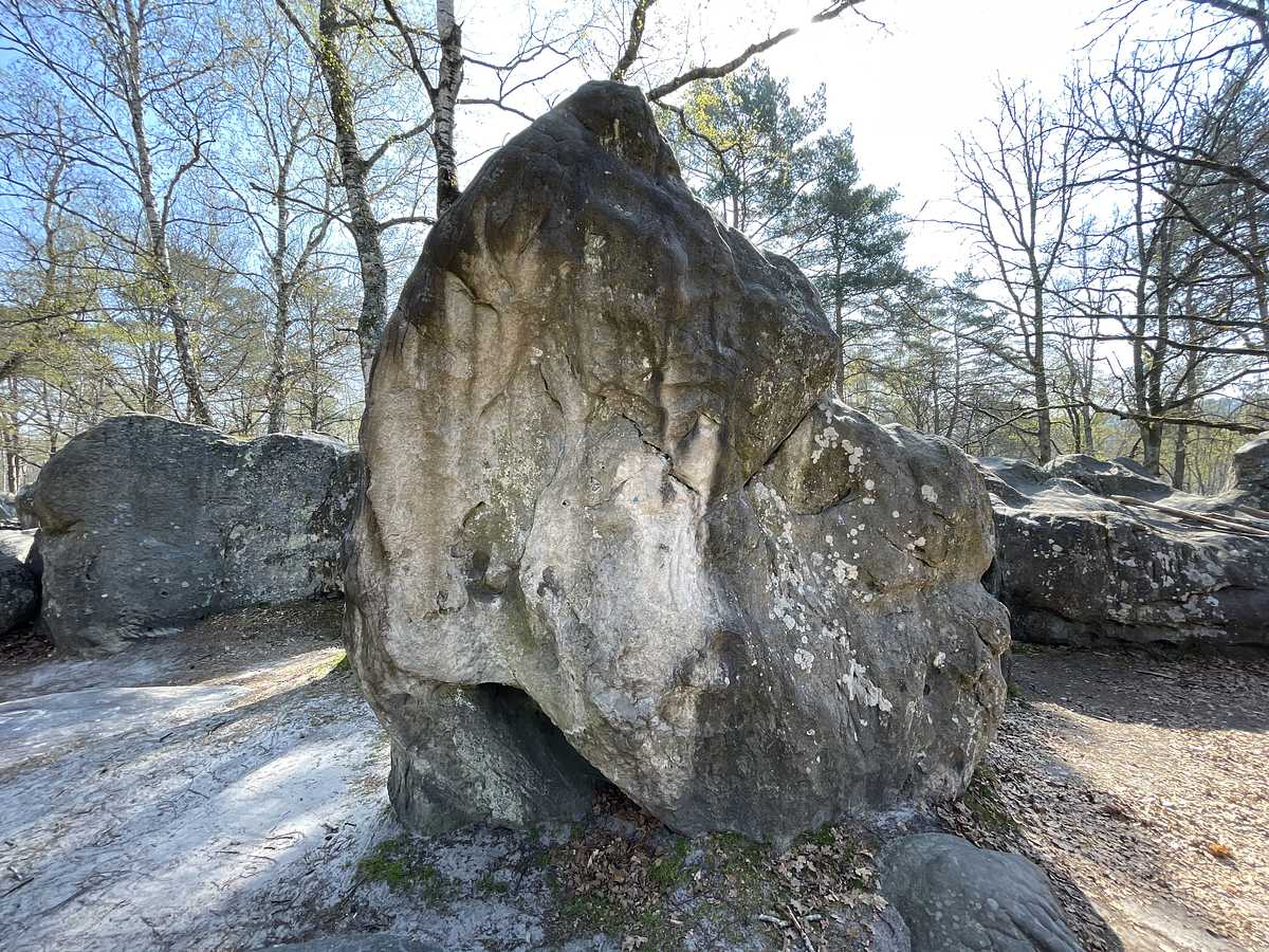 Accession au Trône – Canche aux Merciers
