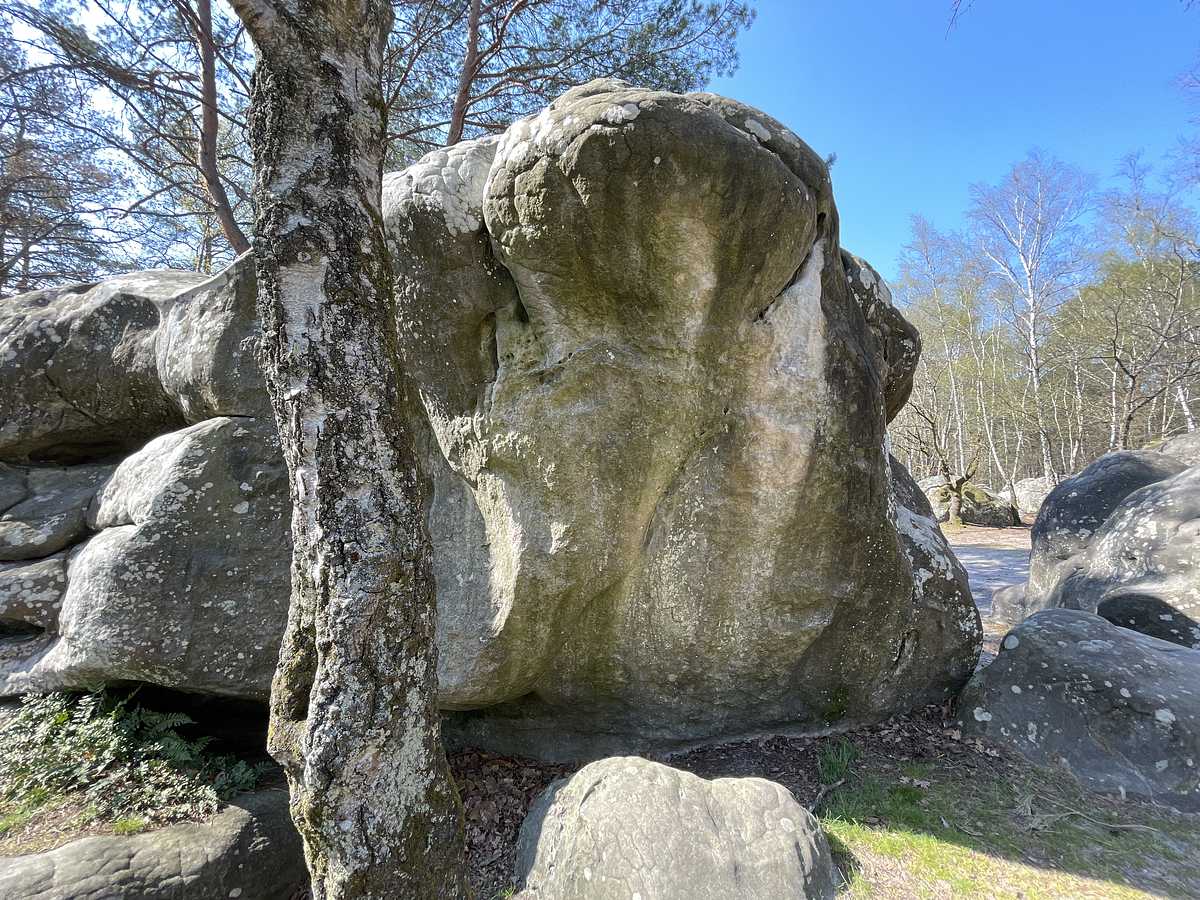 Photo du rocher avec les tracés