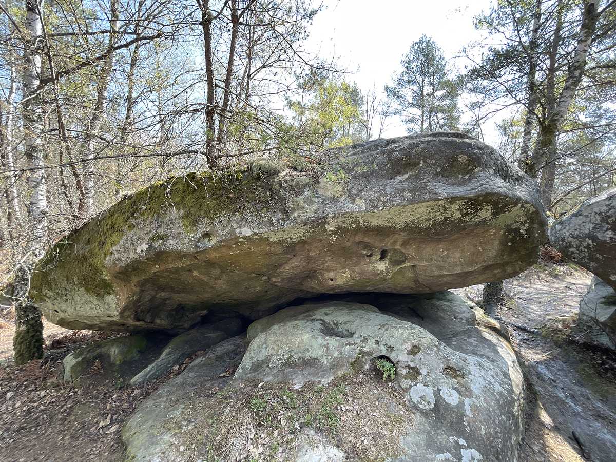 Le Planorme – Canche aux Merciers