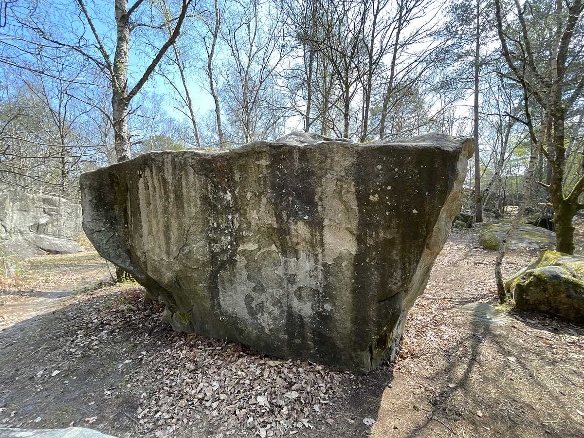 Racine – Canche aux Merciers