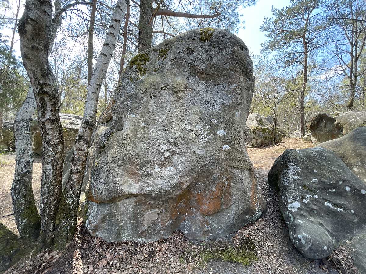 La Dalle aux Hydes – Canche aux Merciers