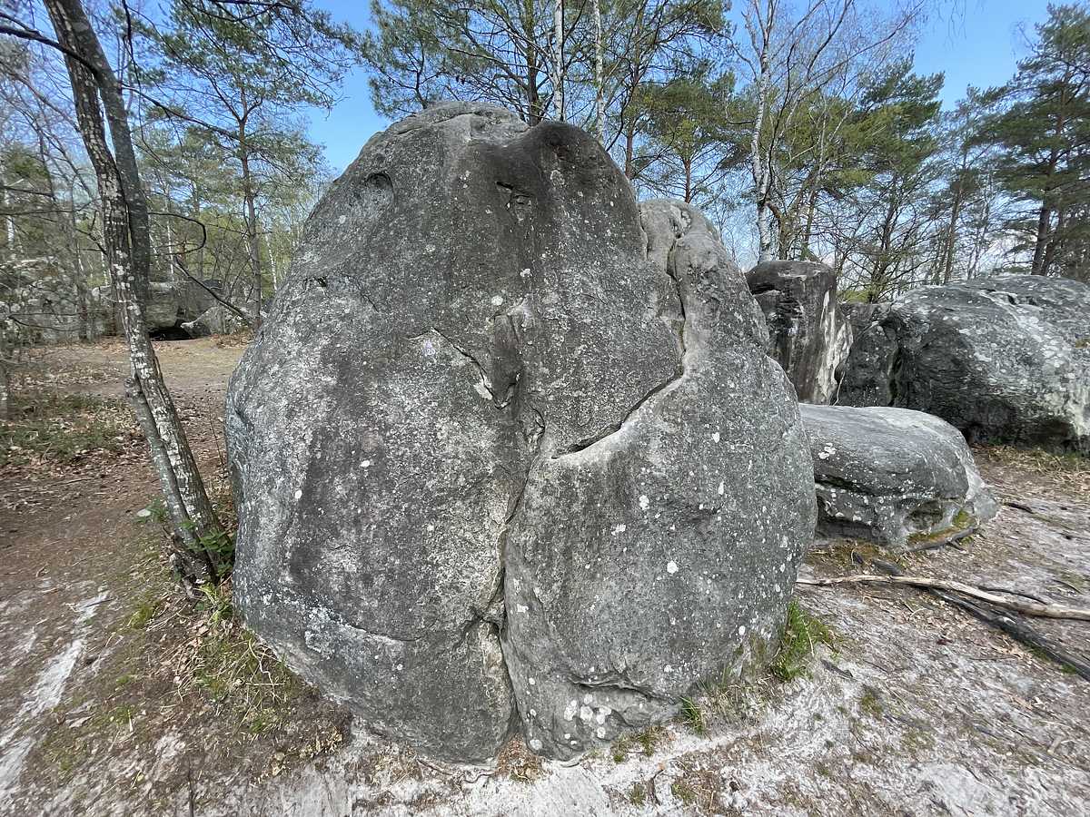 La Délicate – Canche aux Merciers