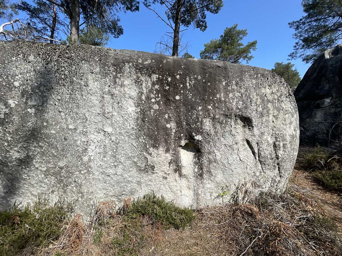 Circuit bleu n° 36 – Apremont