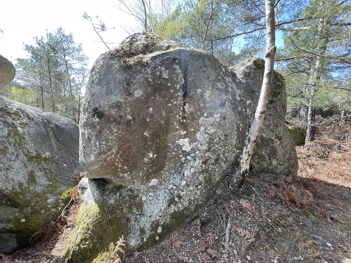 Photo du rocher avec les tracés