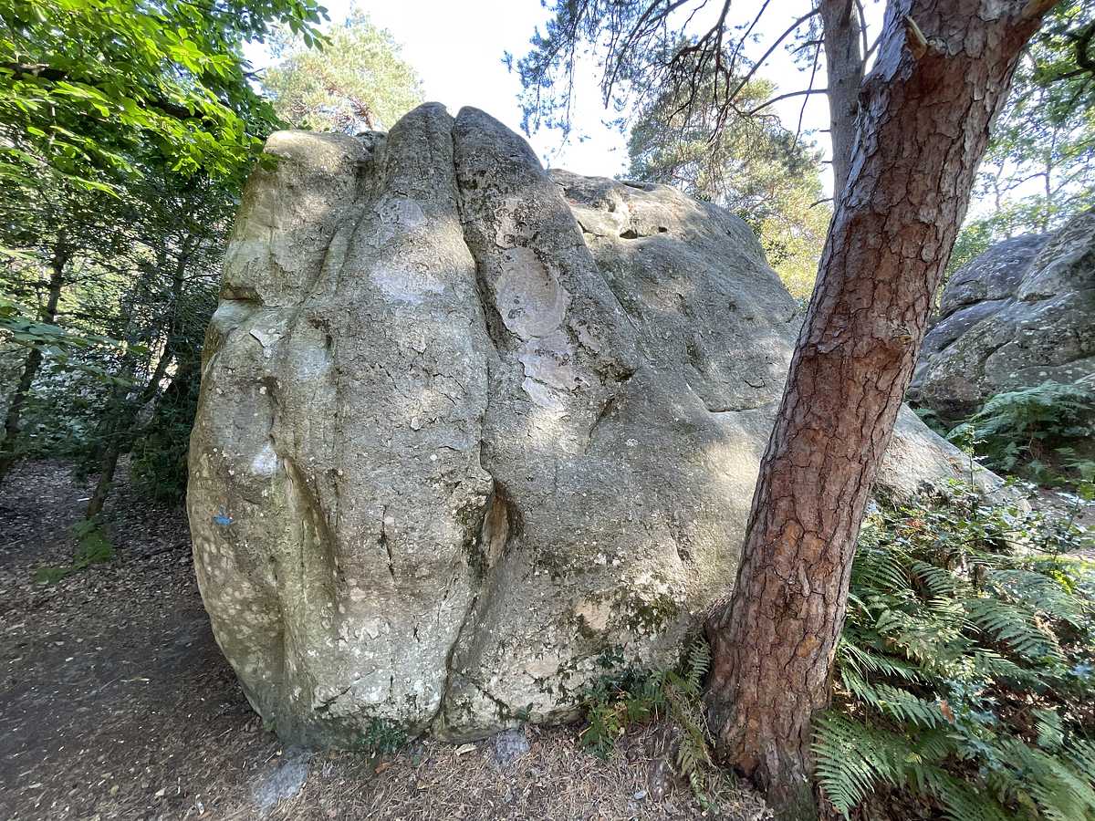 Photo du rocher avec les tracés