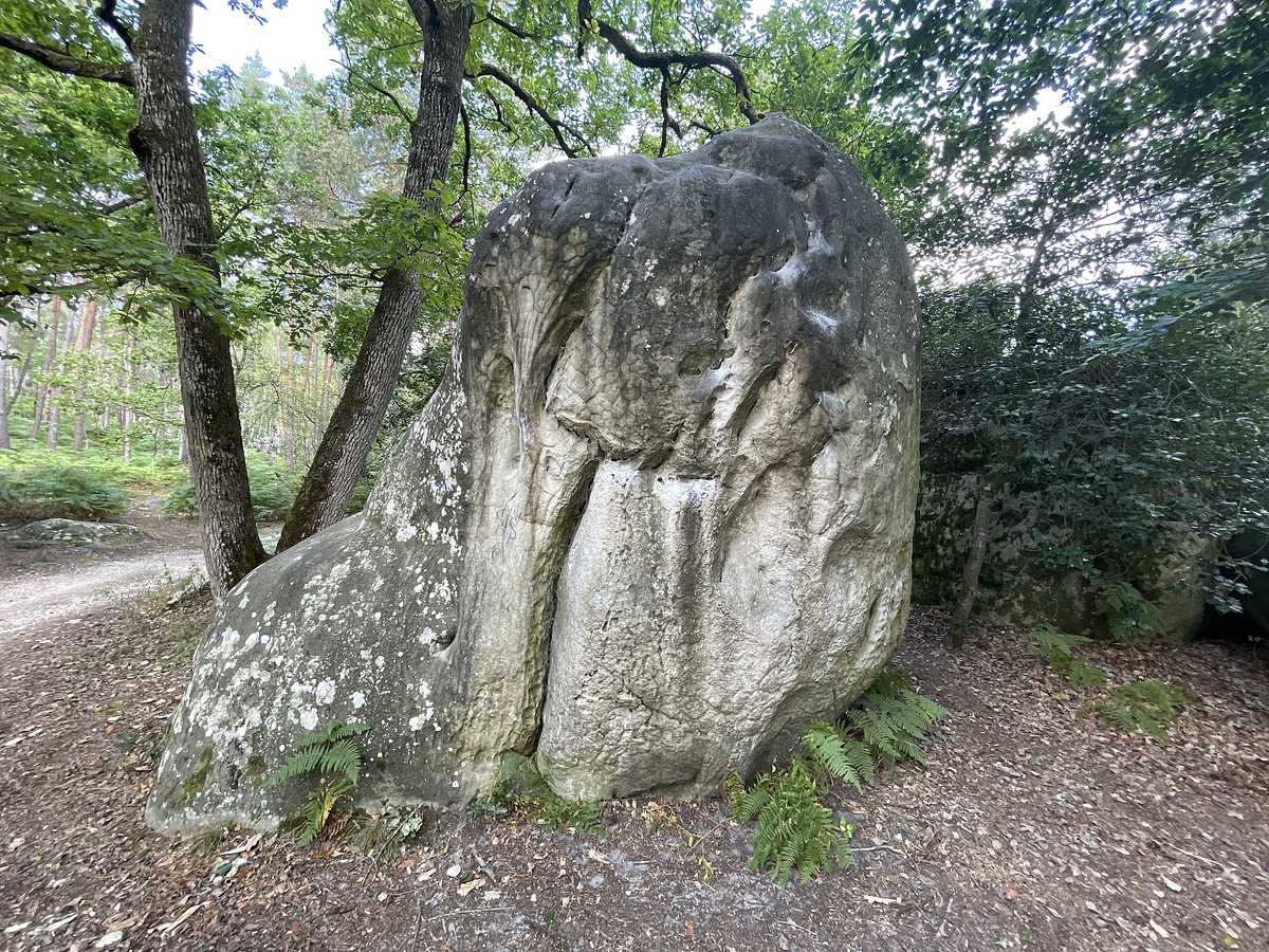 Photo du rocher avec les tracés