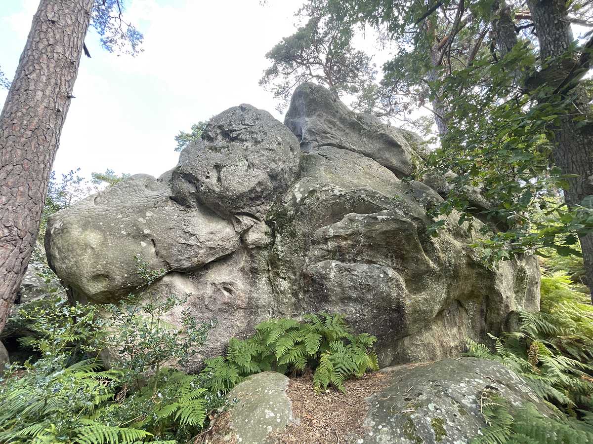 Photo du rocher avec les tracés