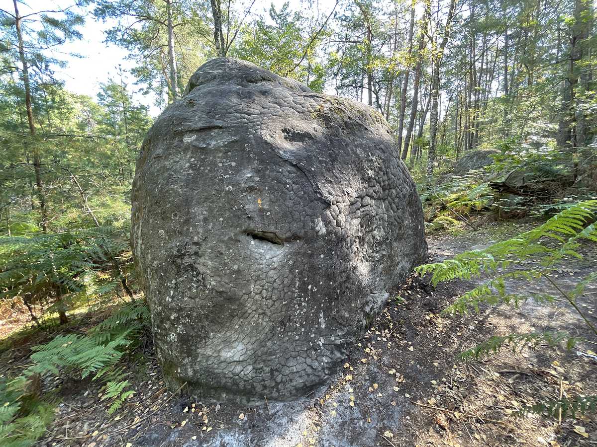 Photo du rocher avec les tracés