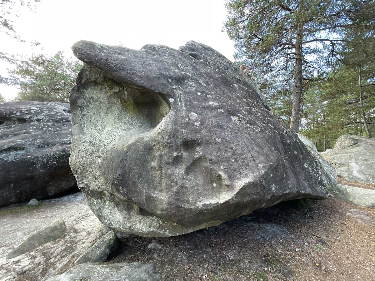 La Pousse-Rapière – Secteur Diplodocus