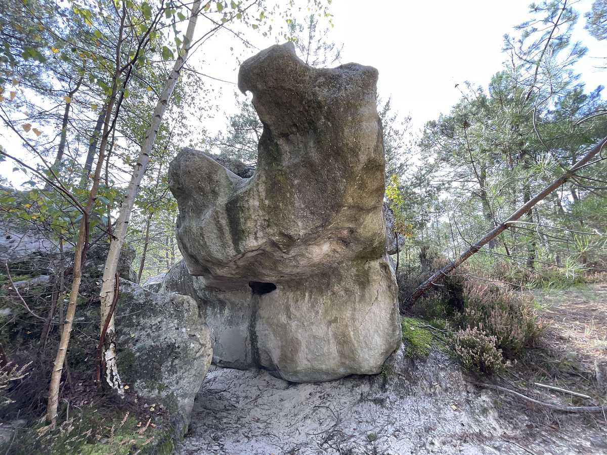 Matière et Mémoire – Rocher Fin