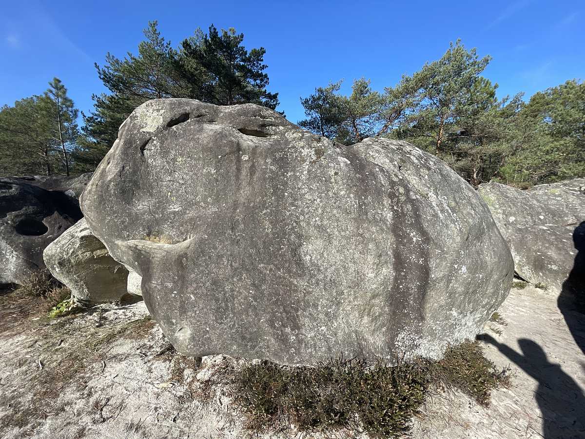 Le TCF – Rocher des Potets