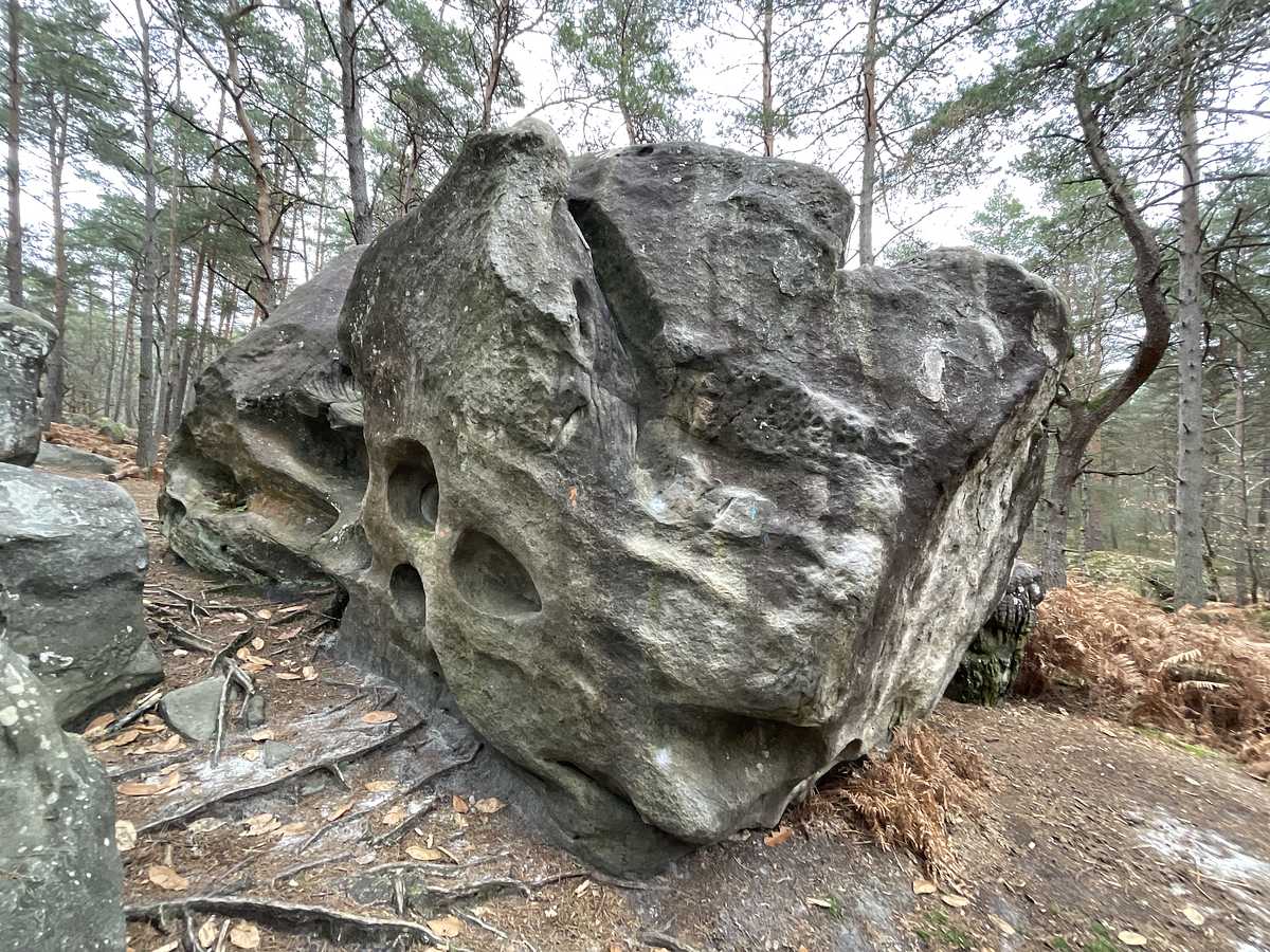 Le Chemin des Trous – Bois Rond