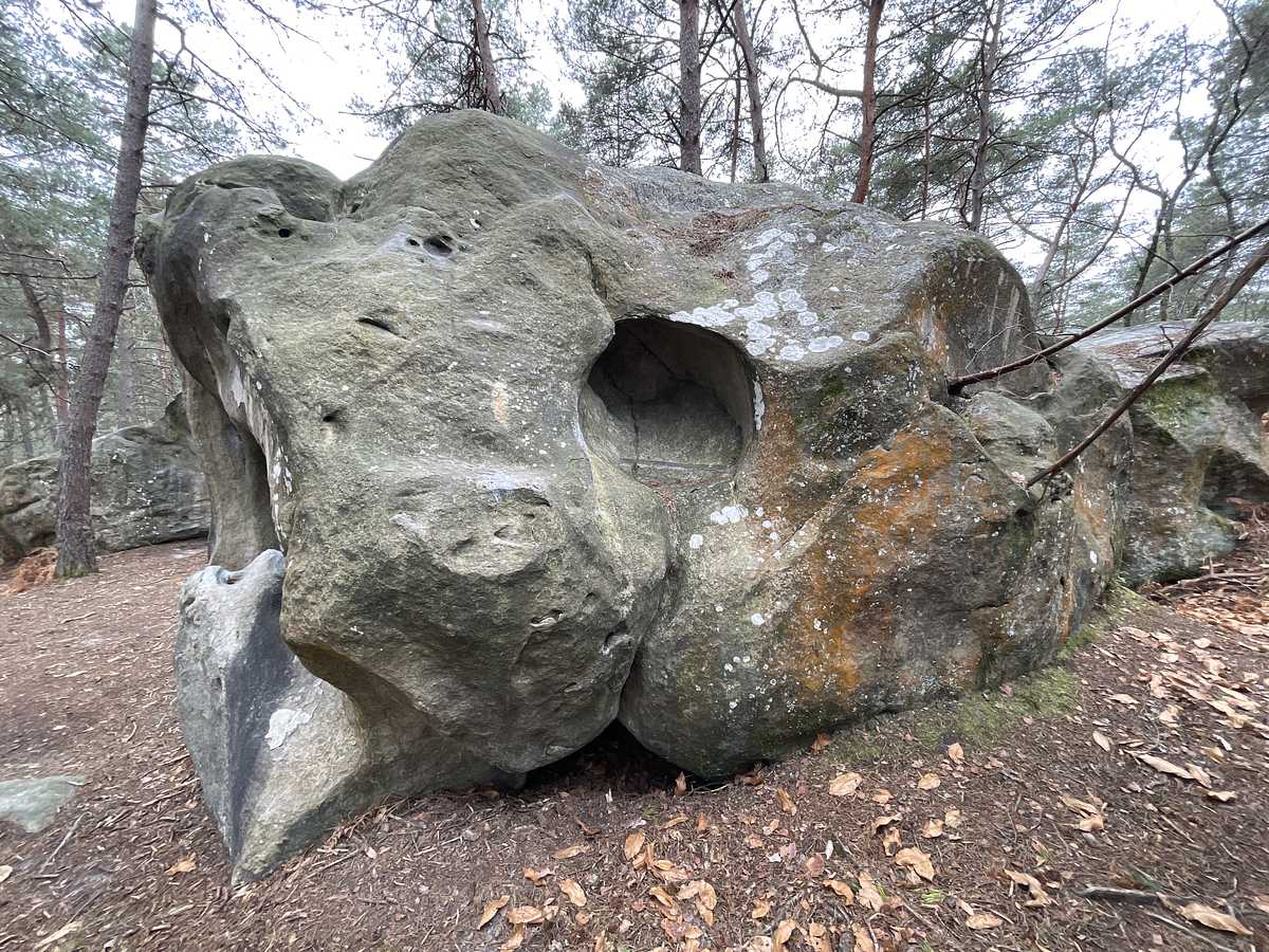 La Rétadalle – Bois Rond