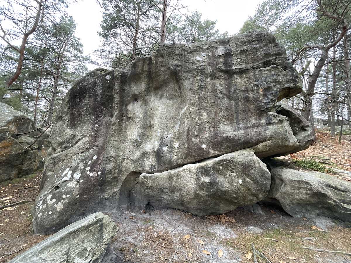 Le Héros – Bois Rond