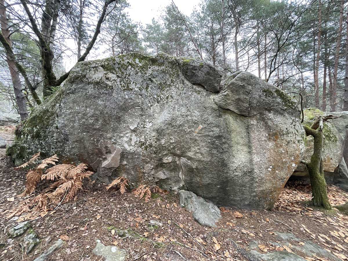 La Sélective – Bois Rond