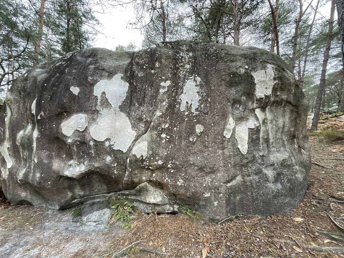 Le Violon d'Ingre – Bois Rond